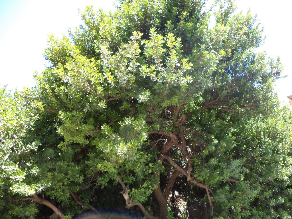 Apartamento To Kamari Paralia Agias Foteinis Exterior foto